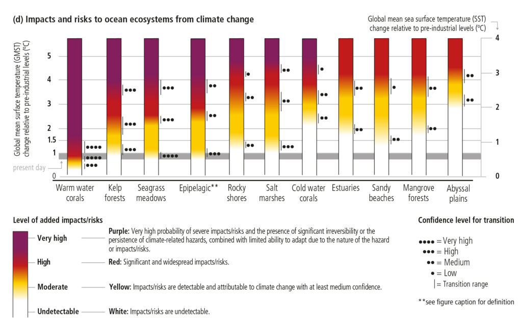 Graph showing impact/risks to different ocean ecosystems form climate change 