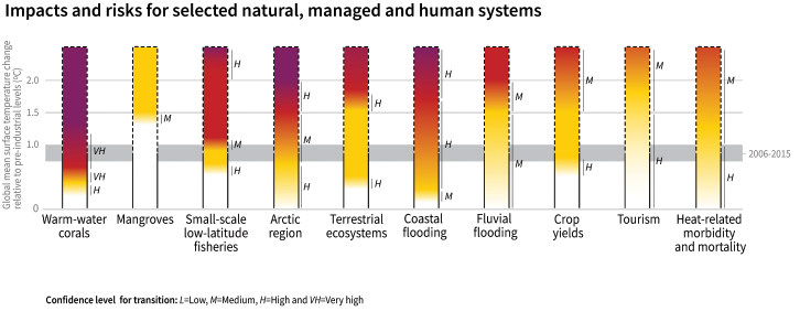 Graph showing impact and risk for selected natural, managed and human systems.