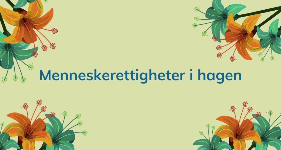 Menneskerettigheter i hagen