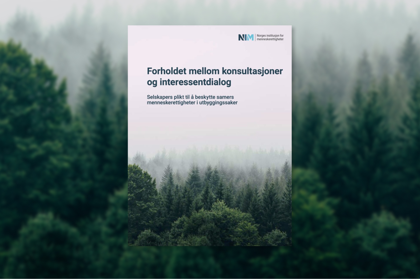 Forholdet mellom konsultasjoner og interessentdialog